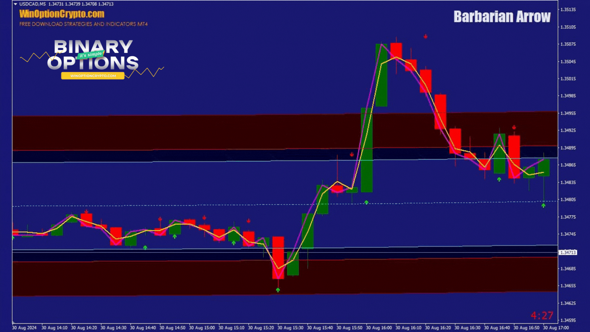 opening a call option in the Barbarian Arrow binary options strategy